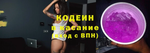 хмурый Михайловск