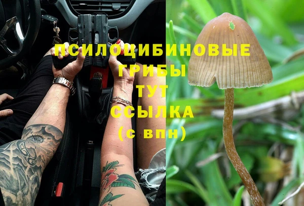 бутират Михайловка