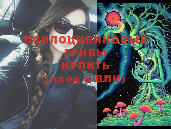 хмурый Михайловск