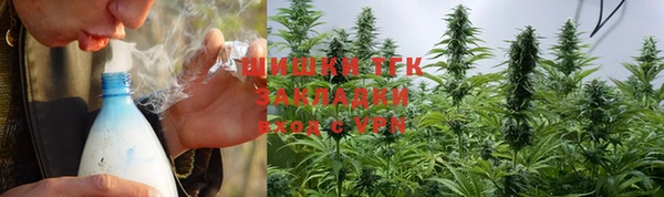 хмурый Михайловск